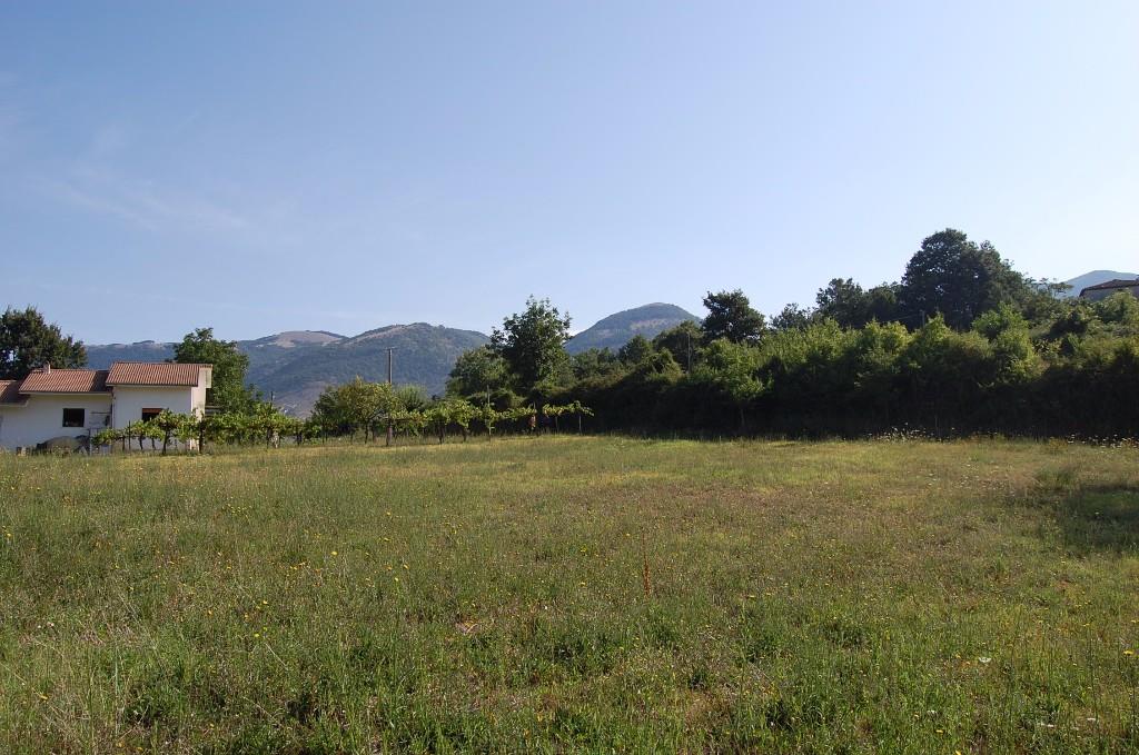 immagine annuncio 1 di 2