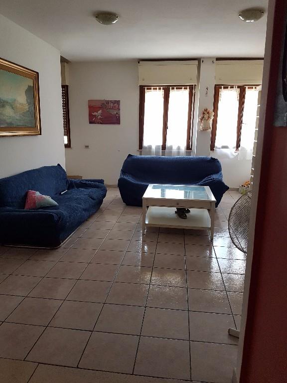 immagine annuncio 2 di 6