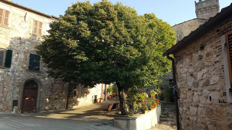 immagine annuncio 4 di 7