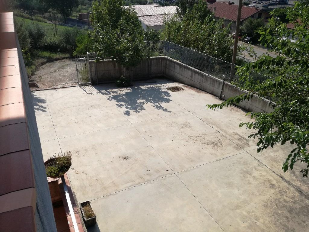 immagine annuncio 3 di 7