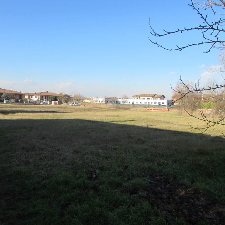 immagine annuncio 3 di 7