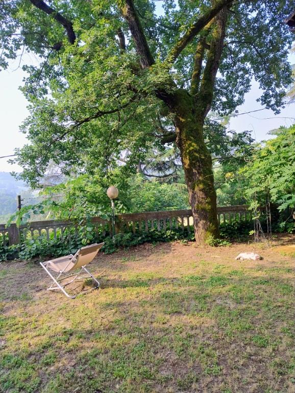 immagine annuncio 6 di 7