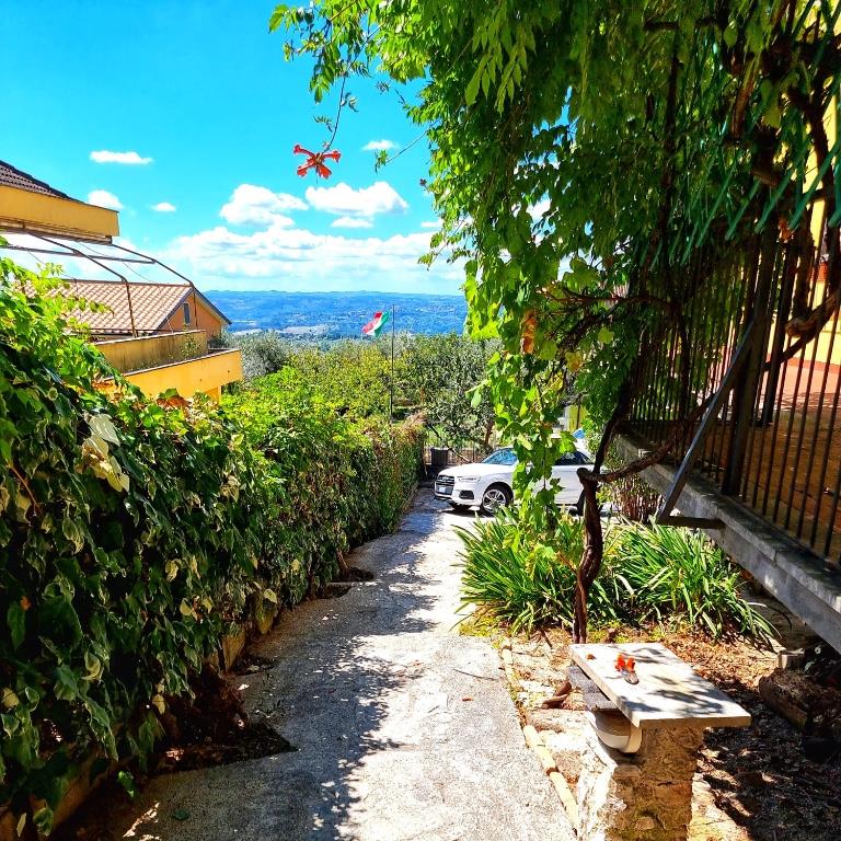 immagine annuncio 5 di 6