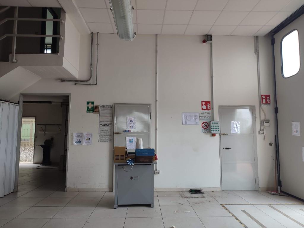 immagine annuncio 5 di 7