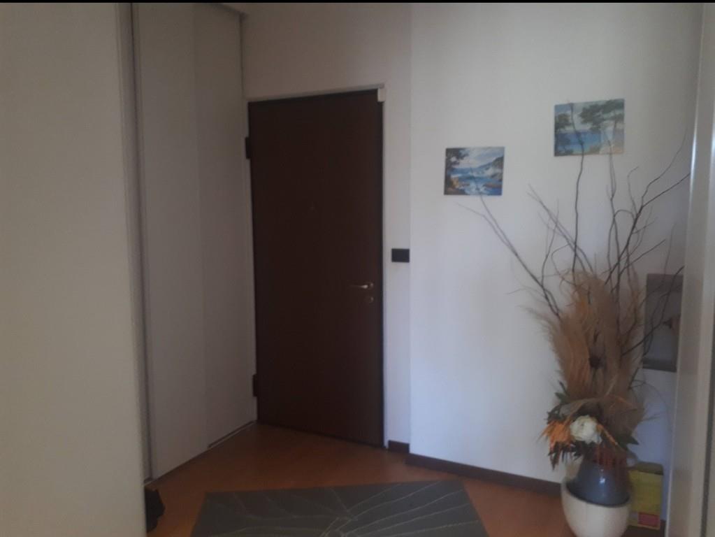 immagine annuncio 2 di 7