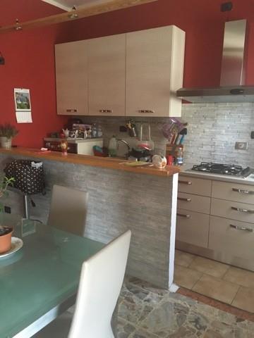 immagine annuncio 1 di 4