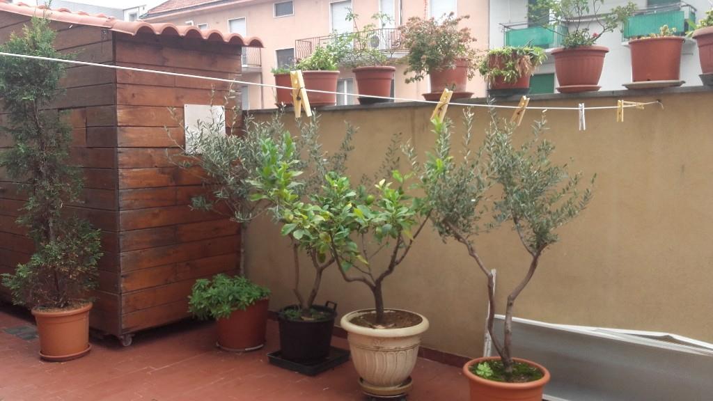 immagine annuncio 5 di 6