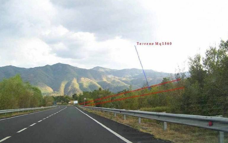 immagine annuncio 6 di 7
