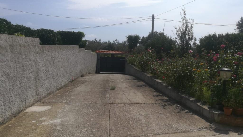 immagine annuncio 4 di 7