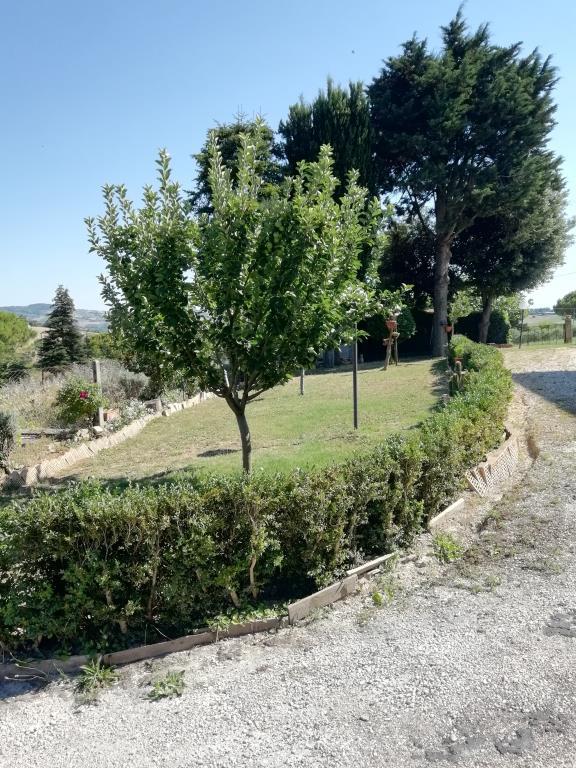 immagine annuncio 2 di 7