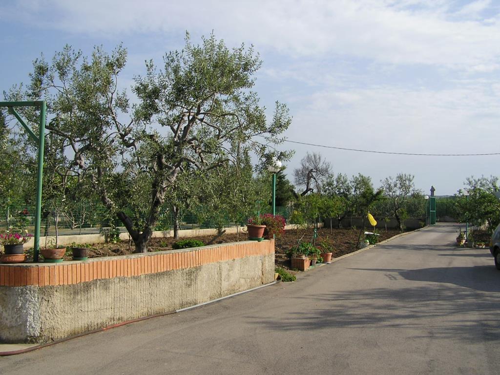 immagine annuncio 6 di 7