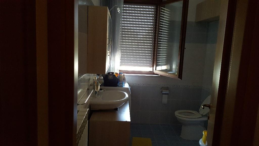 immagine annuncio 3 di 7