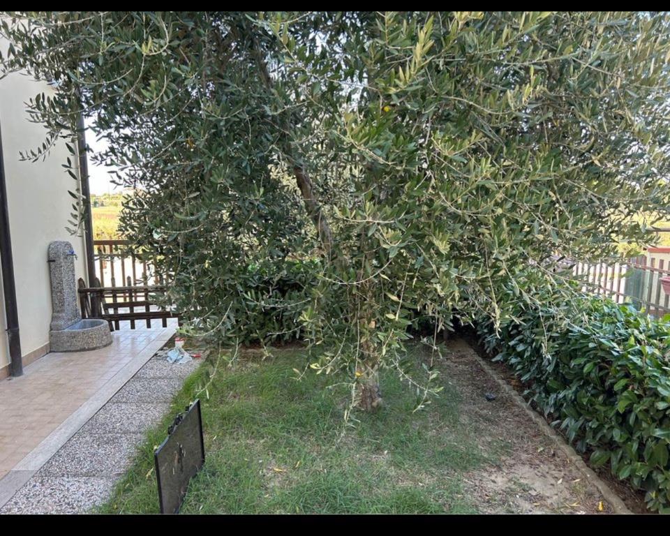 immagine annuncio 4 di 7