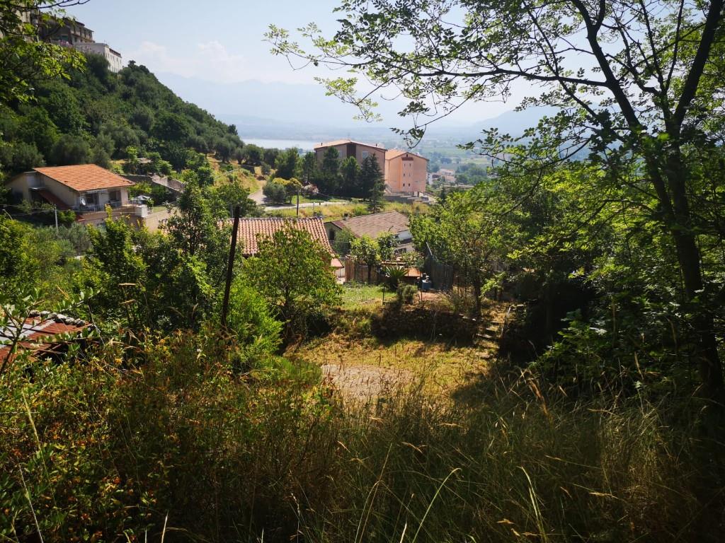 immagine annuncio 4 di 6