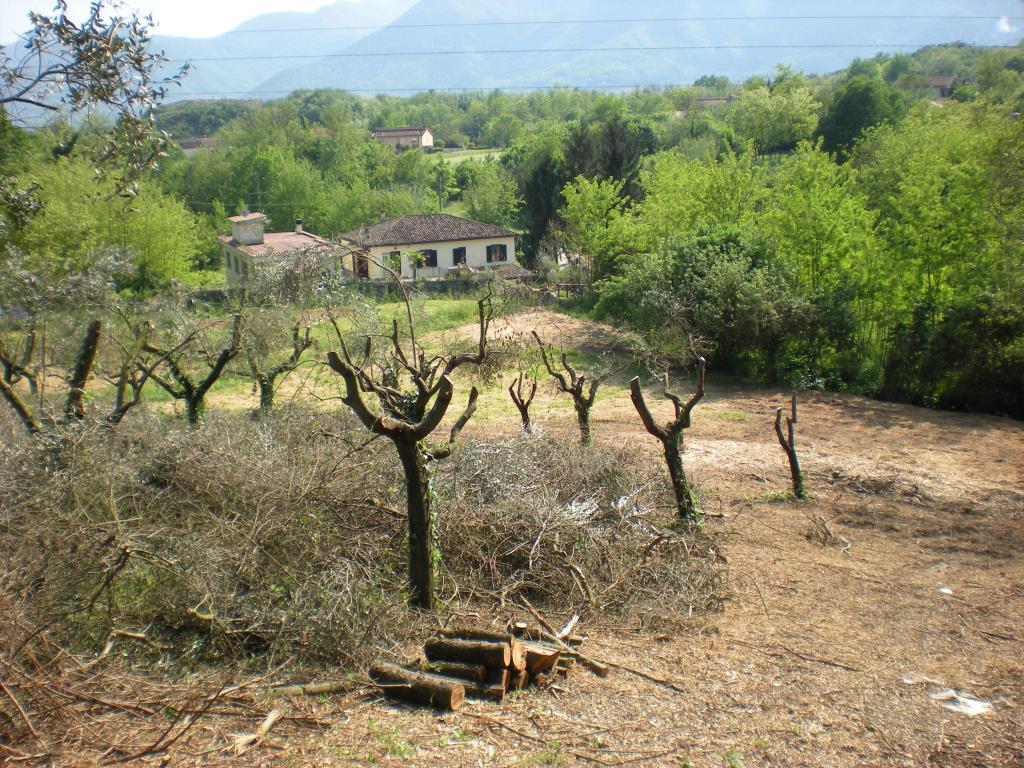immagine annuncio 4 di 7