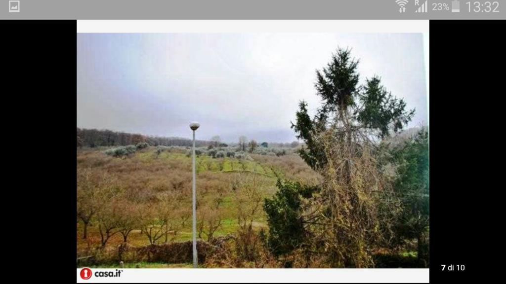 immagine annuncio 2 di 3