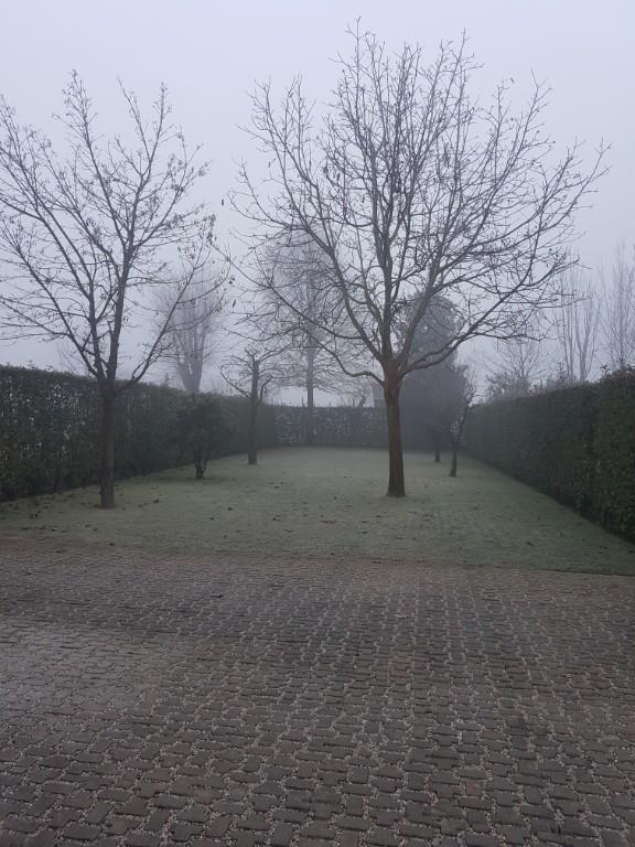 immagine annuncio 6 di 7