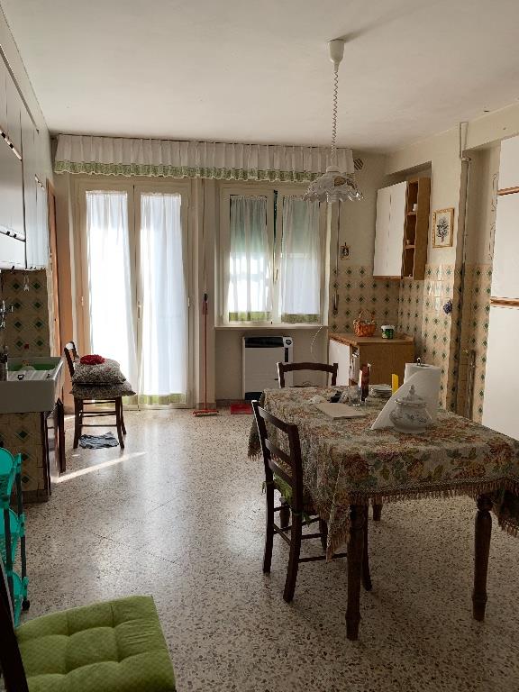 immagine annuncio 2 di 7