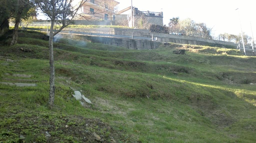 immagine annuncio 3 di 7