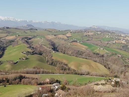 immagine annuncio 3 di 7