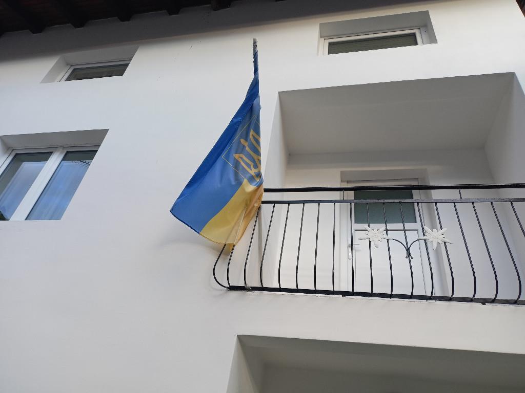 immagine annuncio 6 di 7