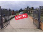 Foto - Villetta a schiera in Affitto a Capena (Roma) Foto - Villetta a schiera in Affitto a Capena (Roma)