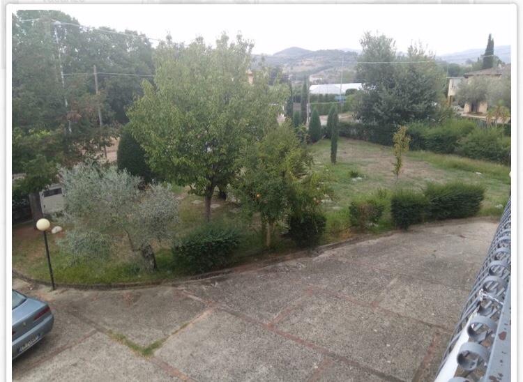 immagine annuncio 4 di 6