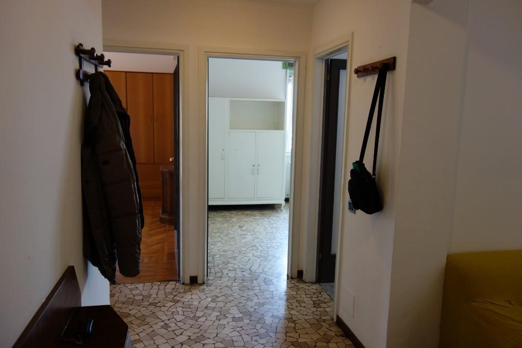 immagine annuncio 3 di 7