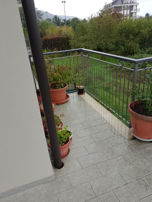 immagine annuncio 1 di 7