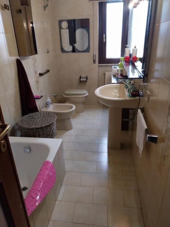 immagine annuncio 4 di 7