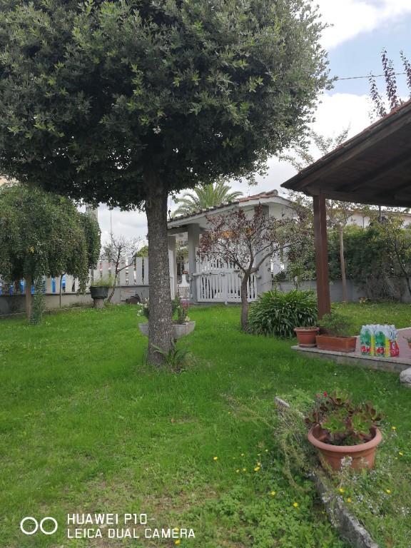 immagine annuncio 1 di 7