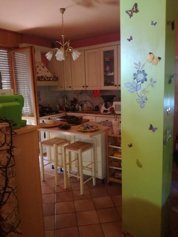 immagine annuncio 5 di 7