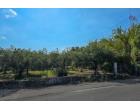Foto - Terreno Agricolo/Coltura in Vendita a San Filippo del Mela (Messina)