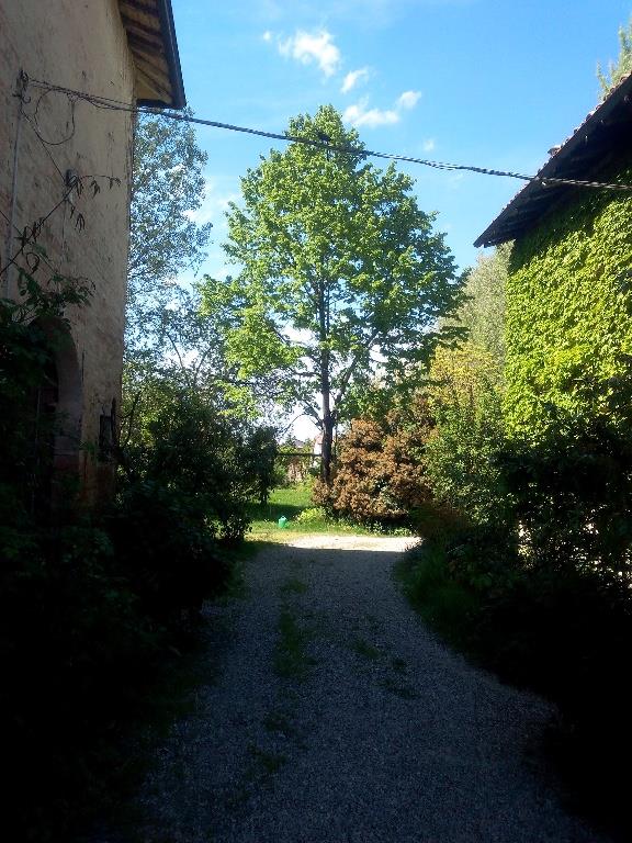 immagine annuncio 2 di 6