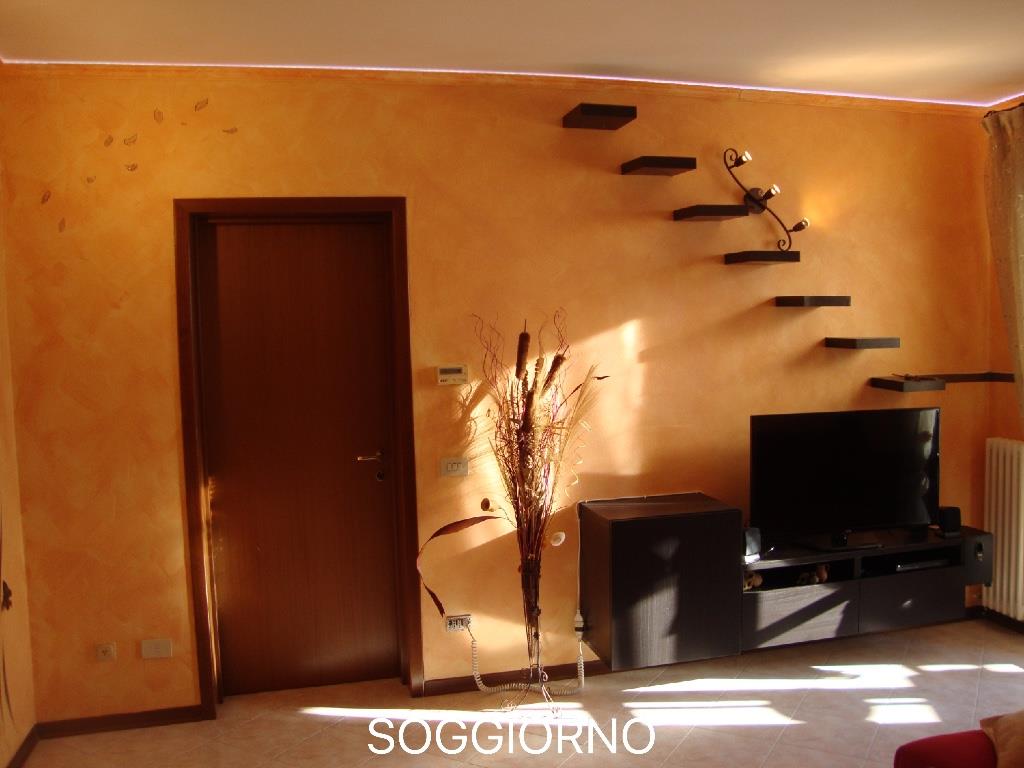 immagine annuncio 5 di 7
