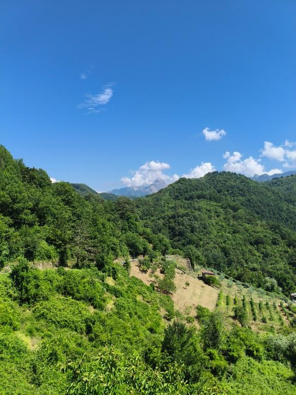 immagine annuncio 3 di 7