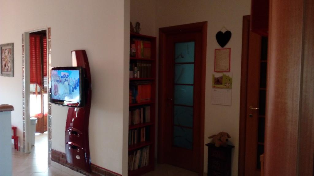 immagine annuncio 5 di 6