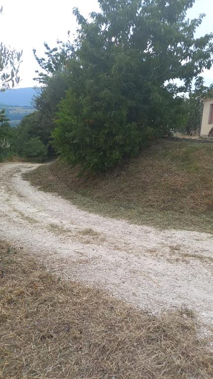 immagine annuncio 3 di 7