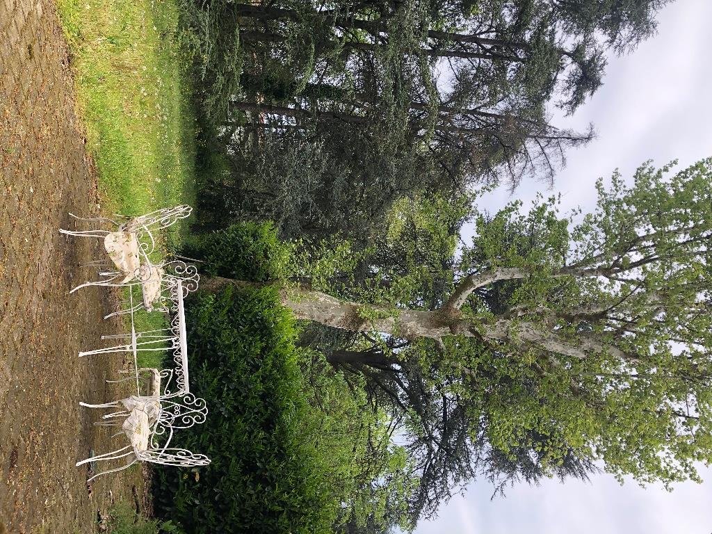 immagine annuncio 2 di 6