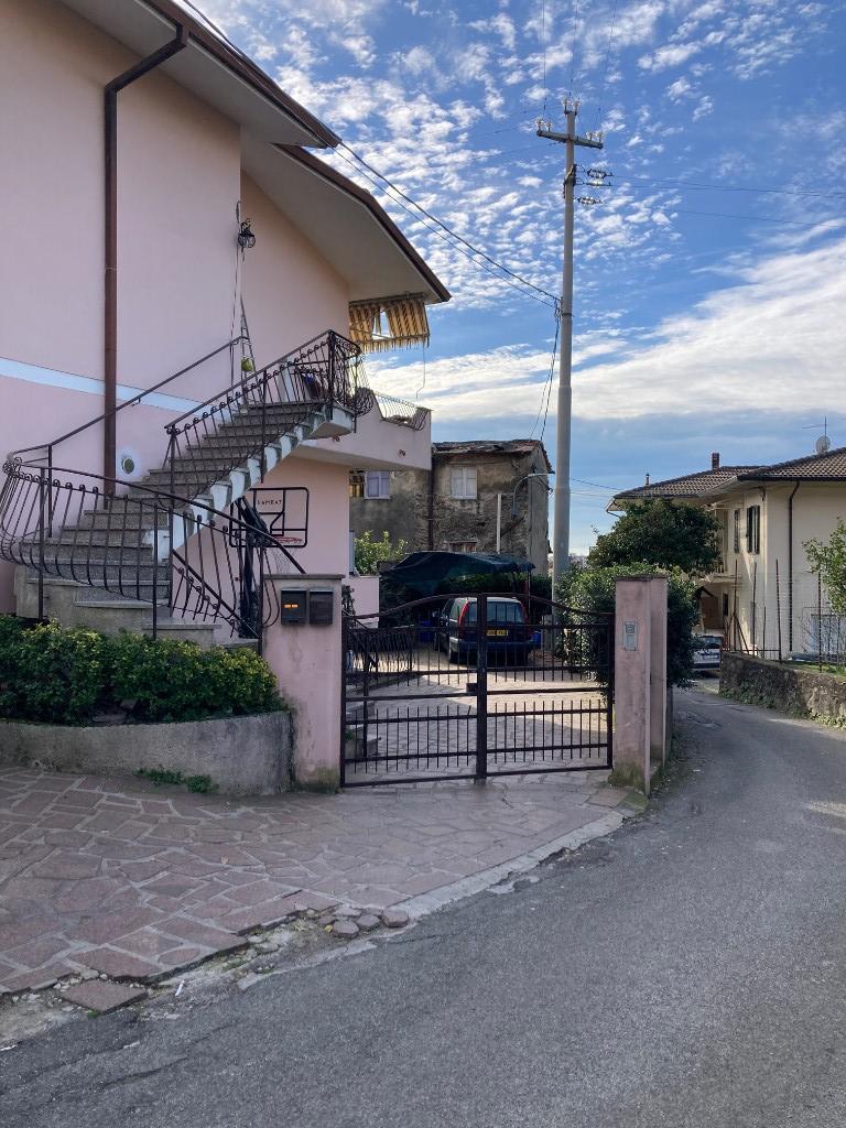 immagine annuncio 1 di 7