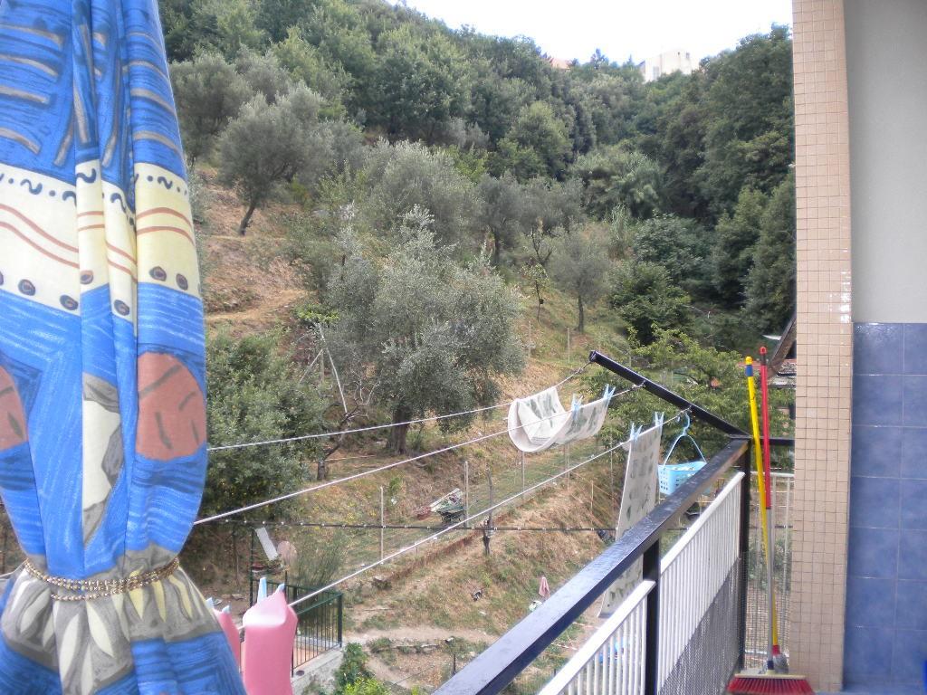 immagine annuncio 5 di 7