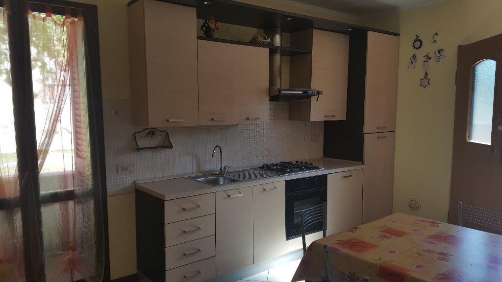 immagine annuncio 2 di 7