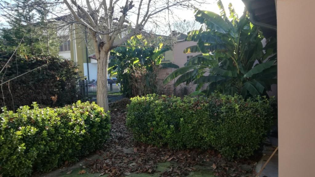 immagine annuncio 4 di 7