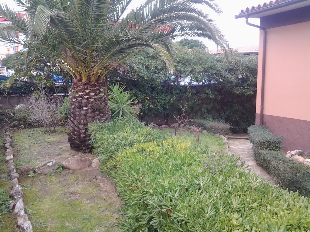 immagine annuncio 3 di 7