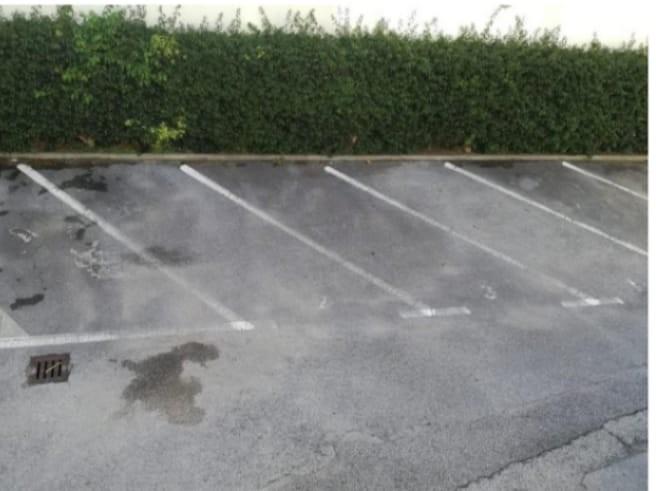immagine annuncio 5 di 7