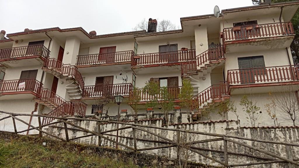immagine annuncio 2 di 7