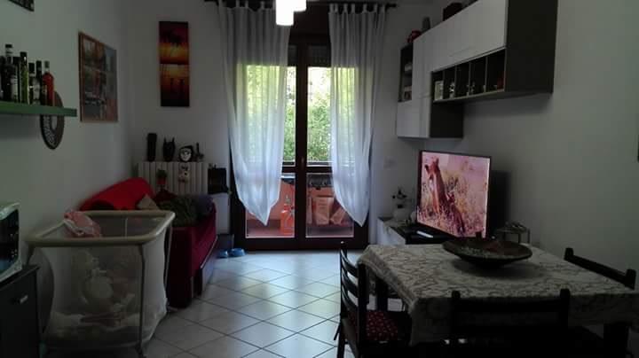 immagine annuncio 2 di 4