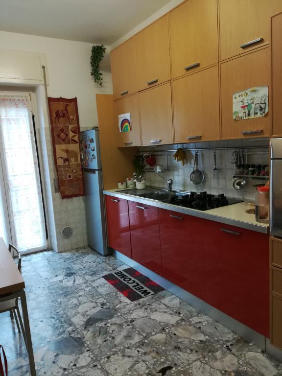 immagine annuncio 3 di 7
