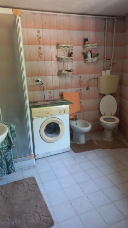 immagine annuncio 4 di 7