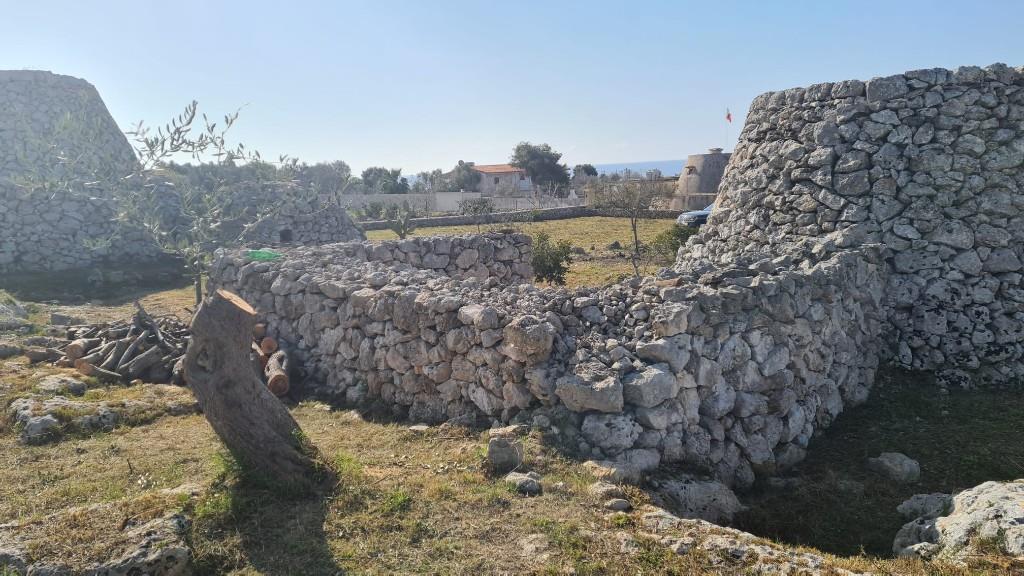 immagine annuncio 2 di 7